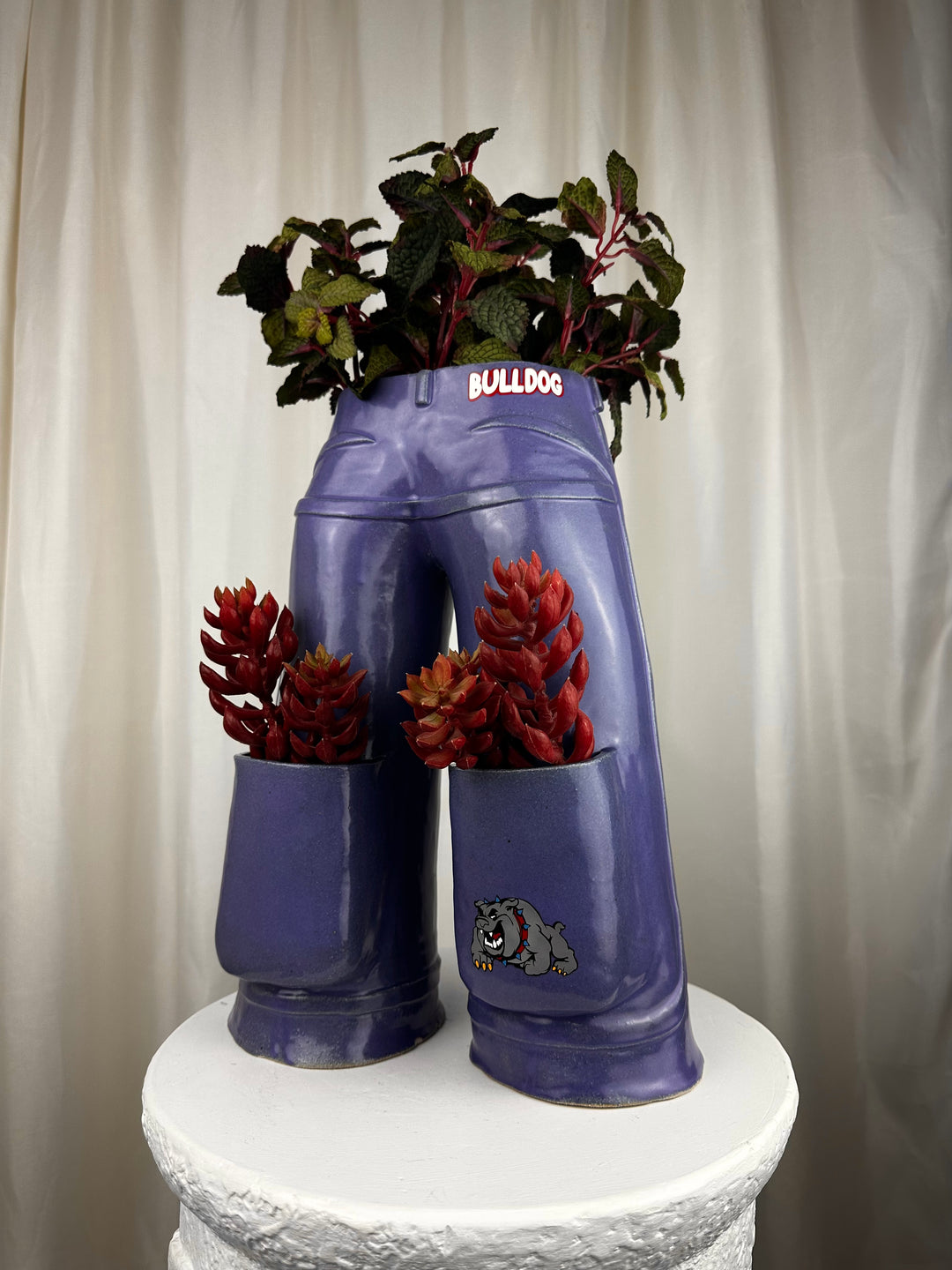 Bulldog – a Pair of Plants